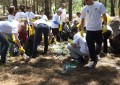 Korpusi i Vullnetarëeve pastron parkun e Zvernecit: Të ndwshkohen ata që ndotin