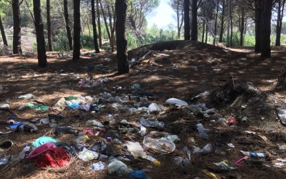Plazhi dhe parku i Zvërnecit u pastruan, Korpusi i Vullnetarëve: Qytetarë mjaft ndotët!